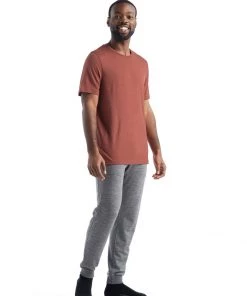 Icebreaker Men's Merino Tech Lite II Short Sleeve Tee Base Layers